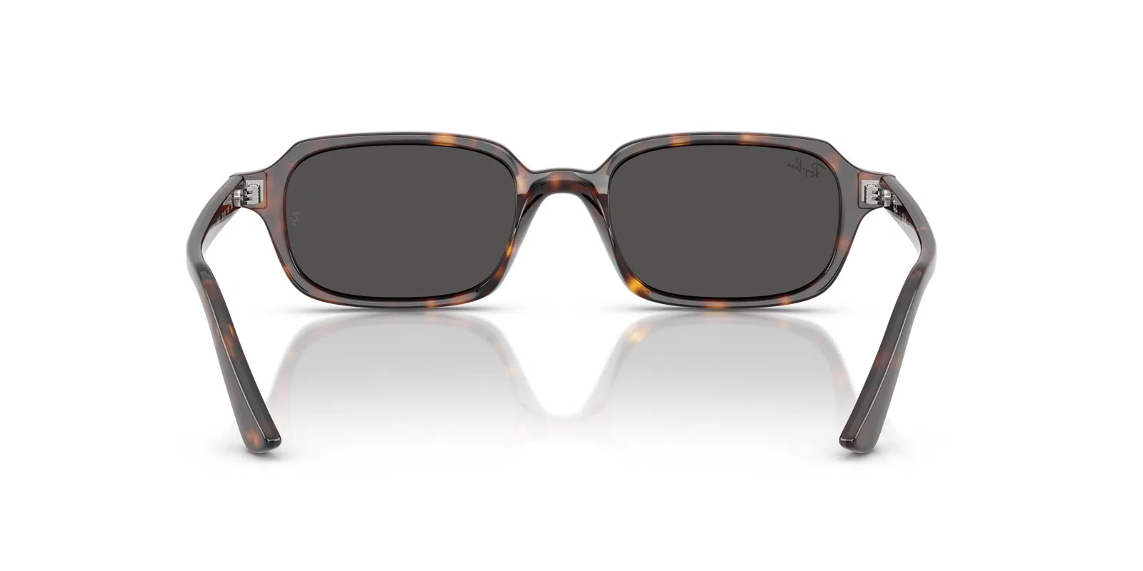 Ray-Ban Zuri 4455 Sunglasses - view 8